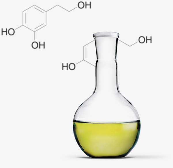 Molecules olive oils