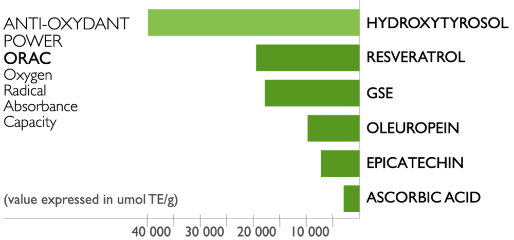 Graphic of polyphenol rich olive oil