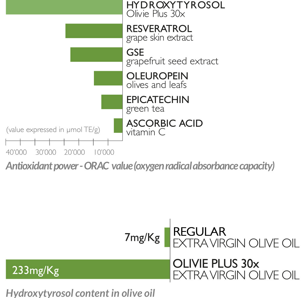 graphics polyphenol olive oil